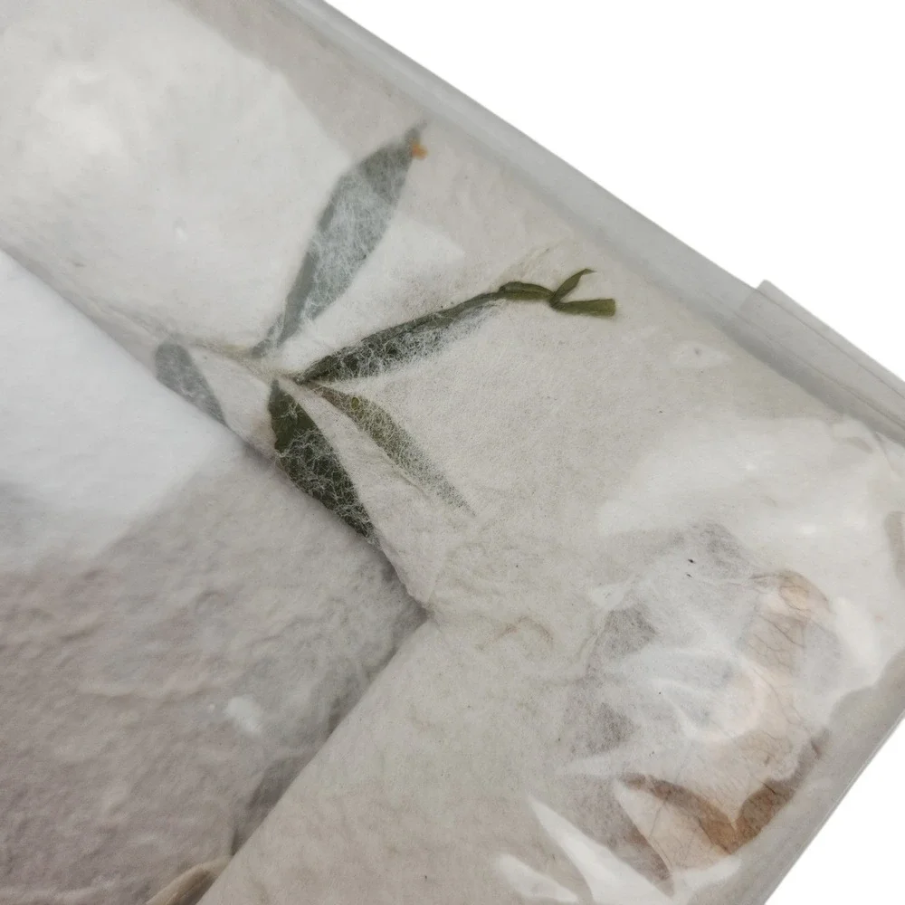 Handmade Mulberry Paper Picture Frame 4x6 Cream Botanical Leaf‎ Pressed Flowers